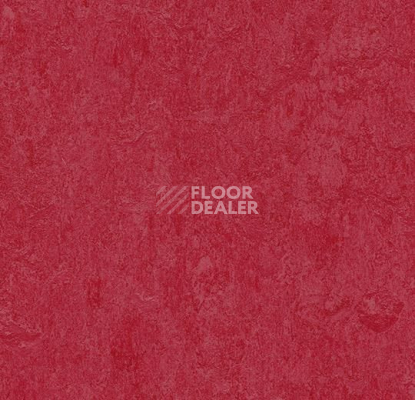 Линолеум Forbo Marmoleum Marbled Fresco 3273-327335 ruby фото 1 | FLOORDEALER
